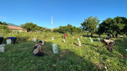supporting-agriculture-sector-belanting-spn-plants-papaya