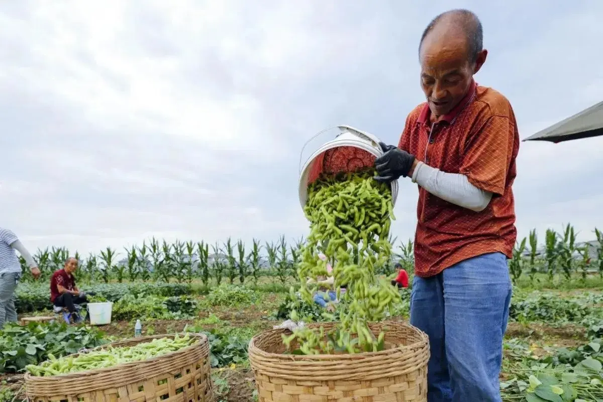 zero-tariffs-on-us-imports-support-national-industry-trade-minister