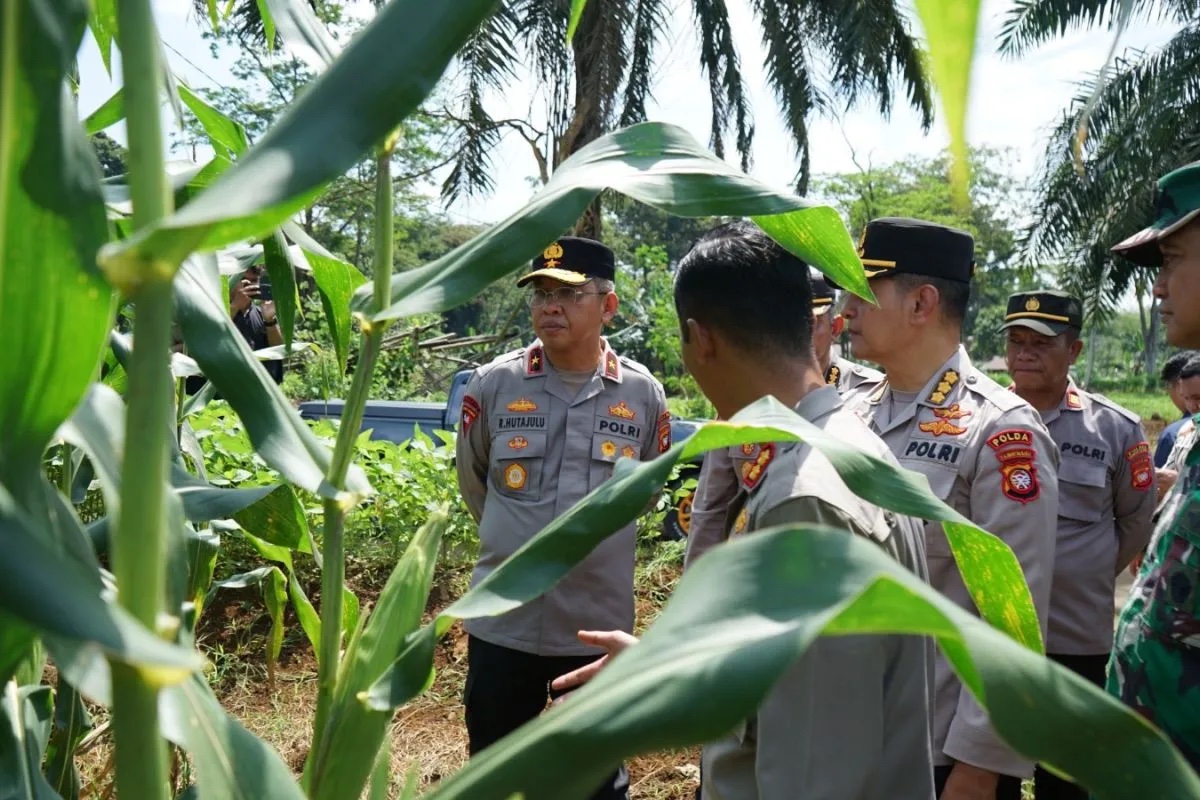 police-air-force-collaboration-boosts-national-food-security-in-bengkayang
