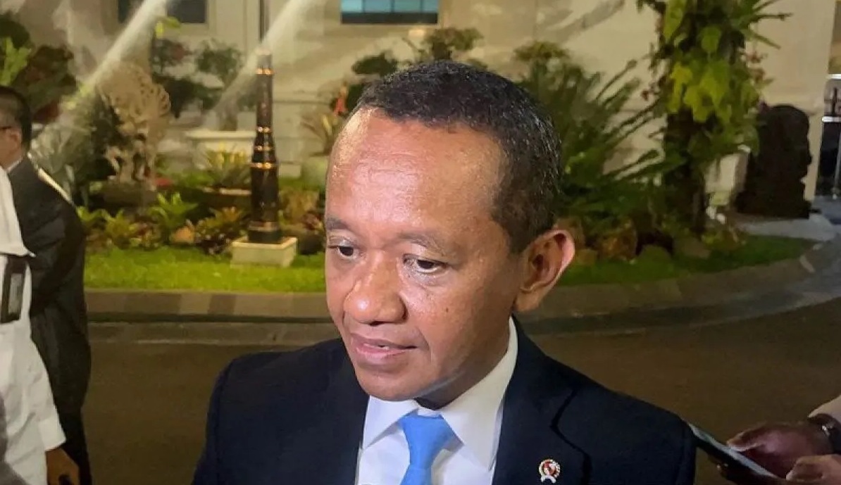chinas-huayou-replaces-lg-in-indonesia-ev-project-energy-minister