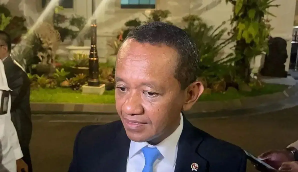 chinas-huayou-replaces-lg-in-indonesia-ev-project-energy-minister