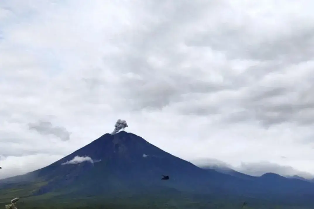 mount-semeru-erupts-again-with-600-meter-ash-column
