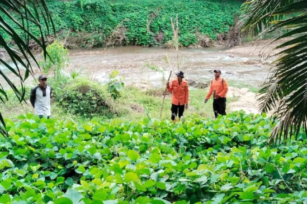 missing-for-three-days-man-in-medan-found-safe-in-the-jungle