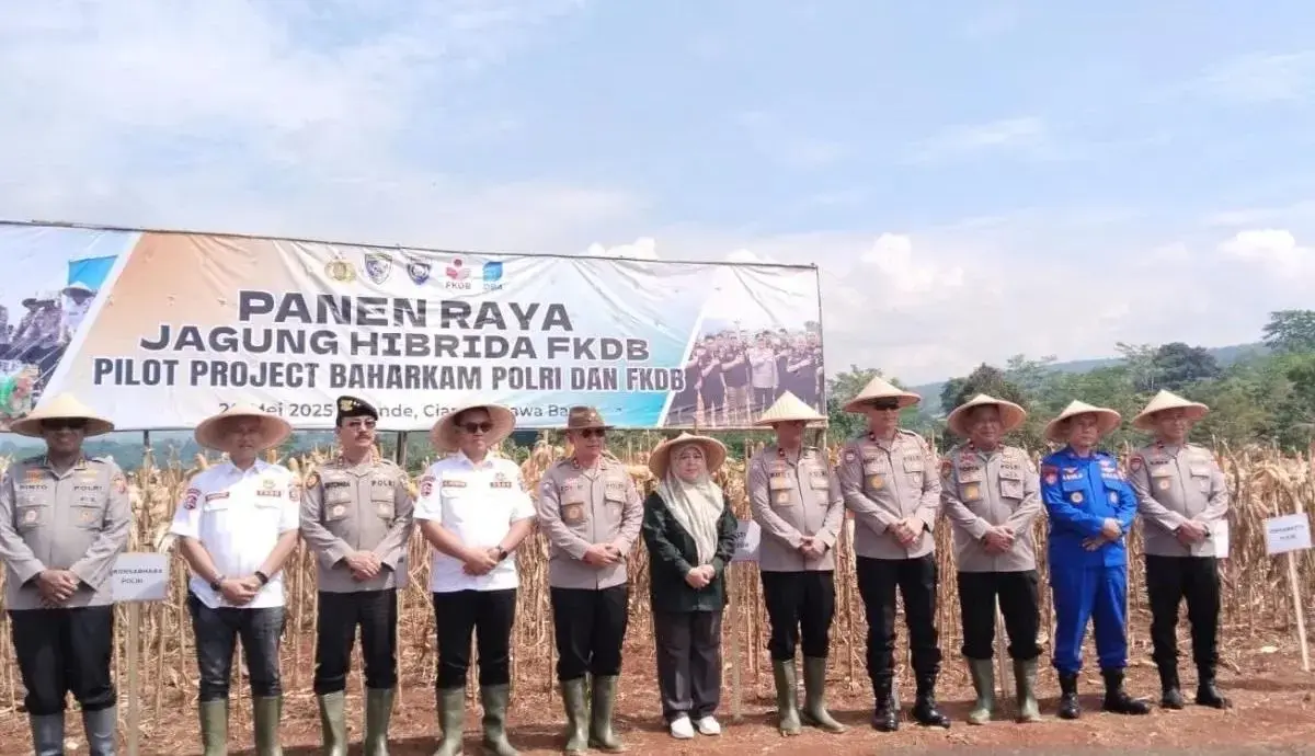 inp-security-maintenance-agency-harvests-125-tons-of-hybrid-corn-in-cianjur