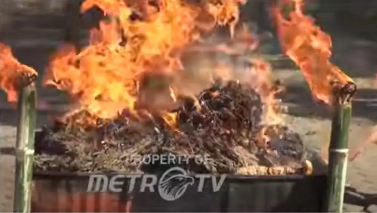 aceh-regional-police-destroys-drugs-evidence-from-three-months-of-drug-bust-operations