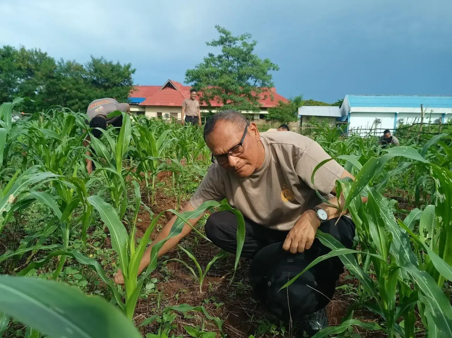 supporting-food-security-tanimbar-islands-sub-regional-police-nurturing-its-corn-fields