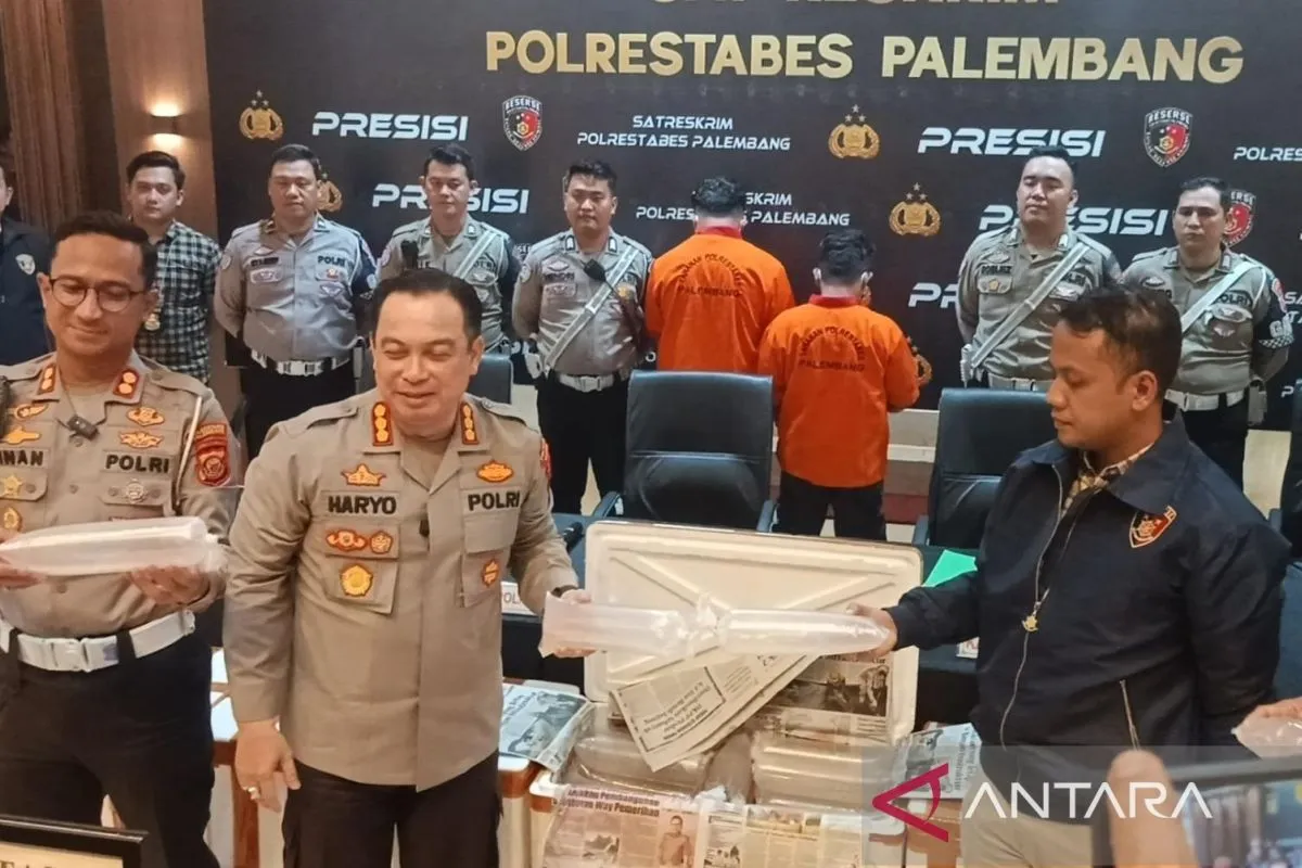 the-smuggling-of-63100-lobster-seeds-thwarted-by-the-police