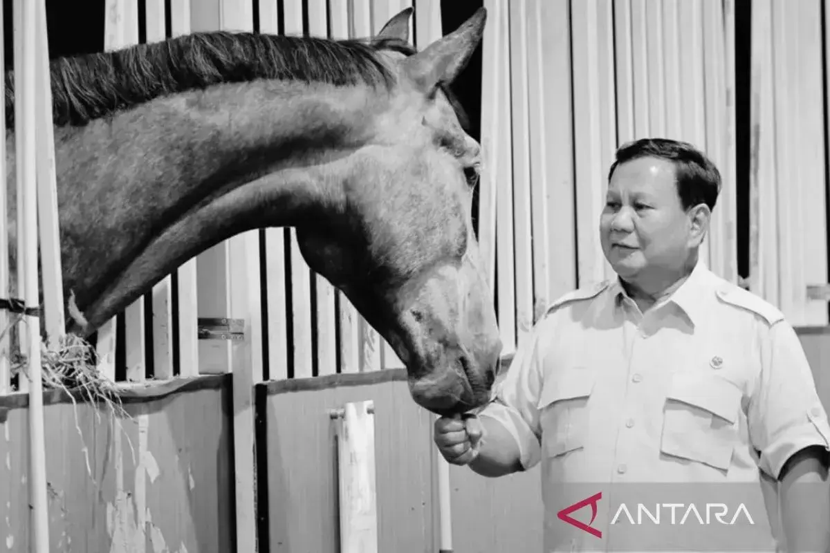 prabowo-receives-public-support-up-to-812-percent-survey-shows