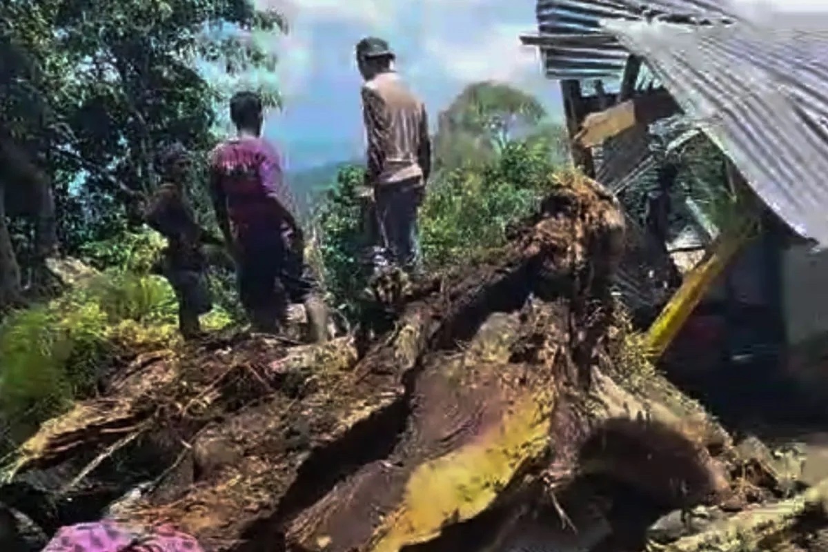 nine-killed-by-falling-tree-at-bulu-matanre-heritage-site