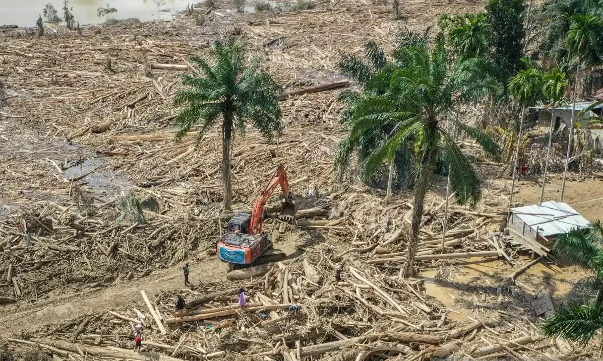 inp-probes-alleged-illegal-logging-behind-tamiang-river-flood-debris