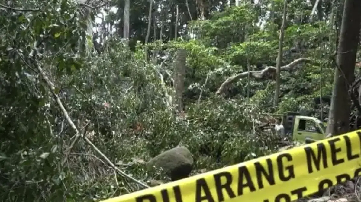 monkey-forest-temporarily-closed-after-fatal-tree-collapse-incident