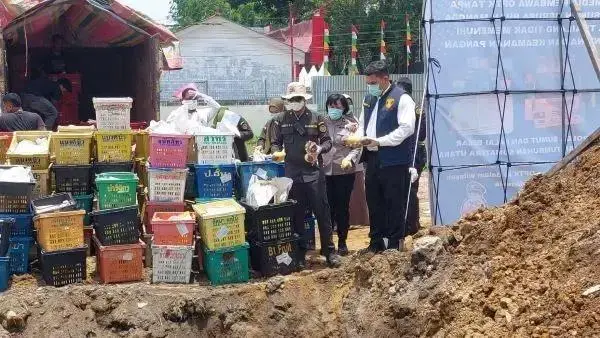police-buried-four-tons-of-illegal-thai-mangoes-following-the-arrest-of-a-truck-driver