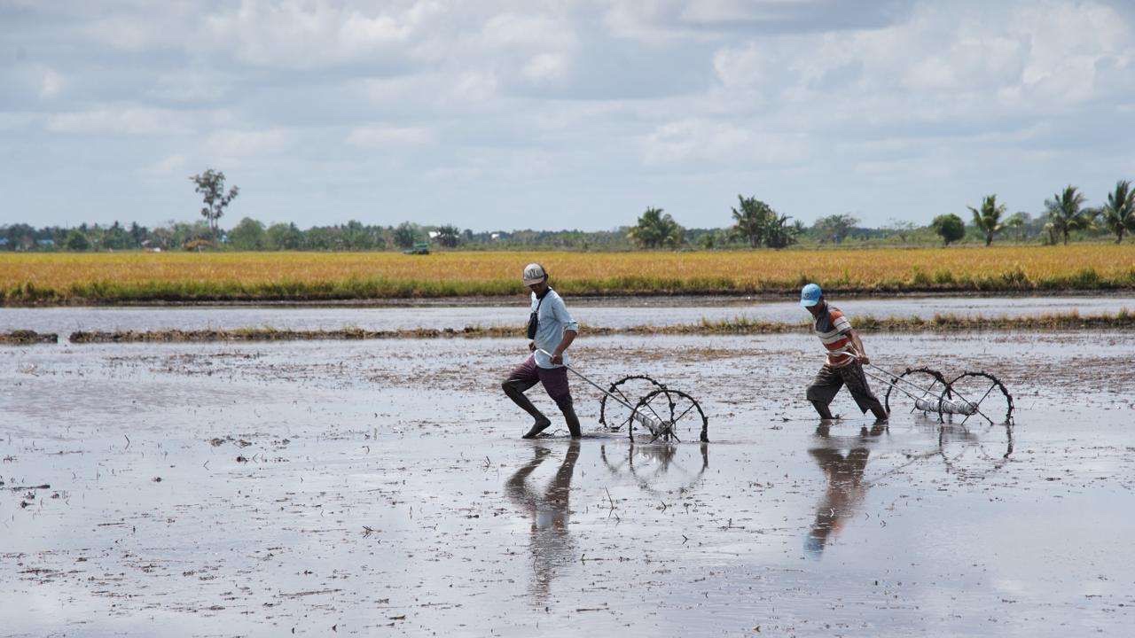 agriculture-ministry-completed-the-swamp-land-optimization-in-merauke