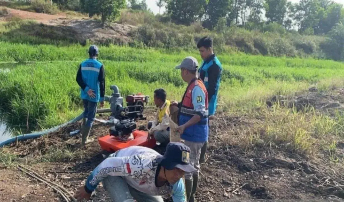 preventing-wildfires-near-syamsudin-noor-airport-govt-takes-anticipatory-steps