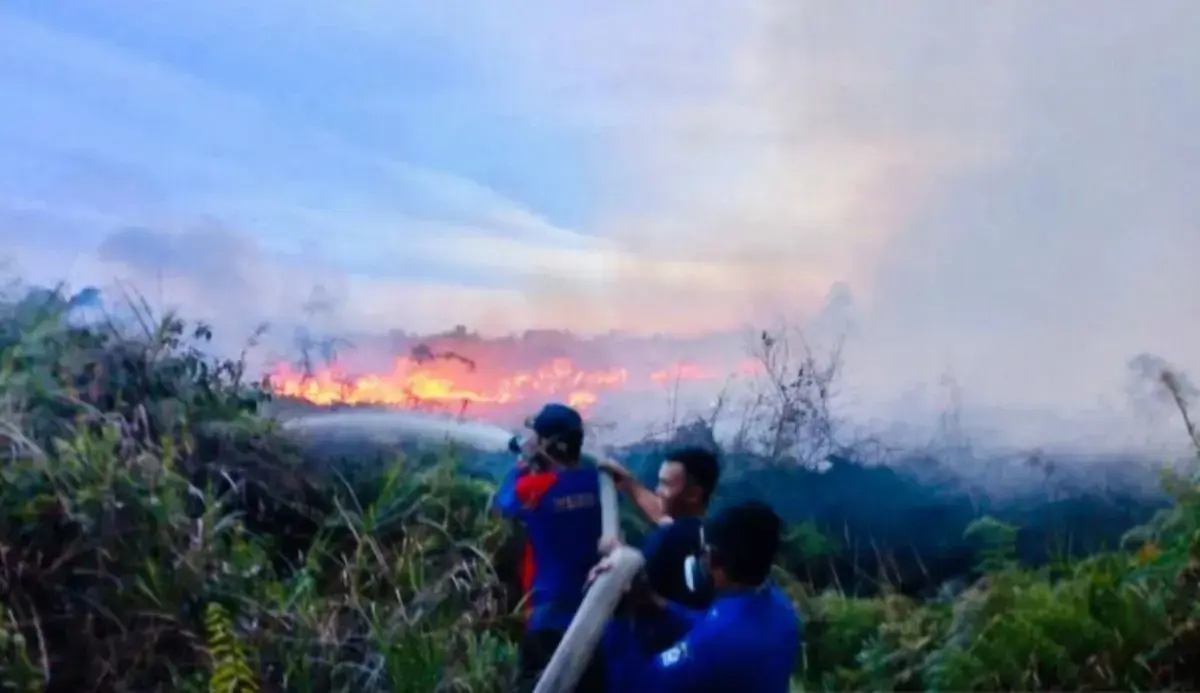 west-aceh-bpbd-recorded-nine-hectares-of-land-fires-in-the-area