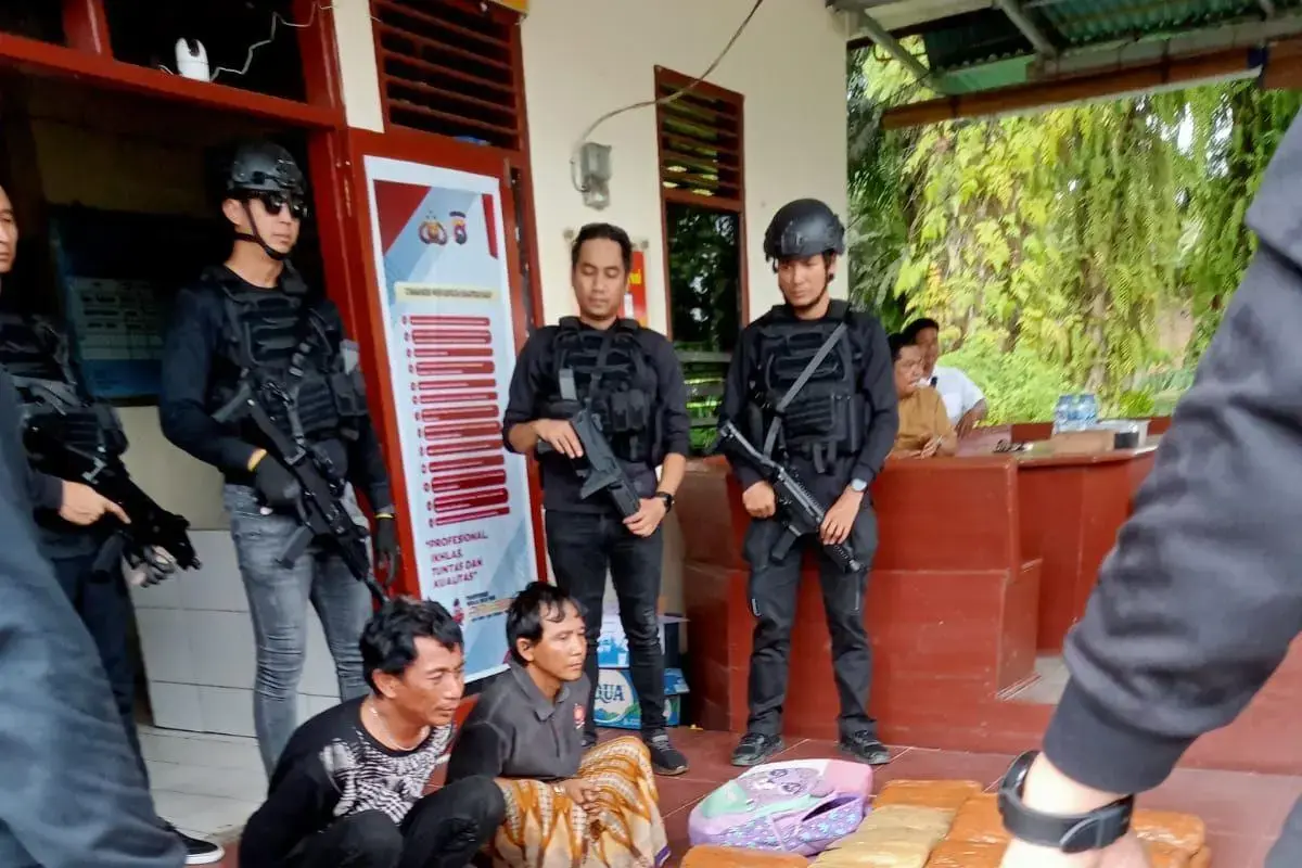 police-thwarted-a-500-kg-marijuana-smuggling-in-west-pasaman