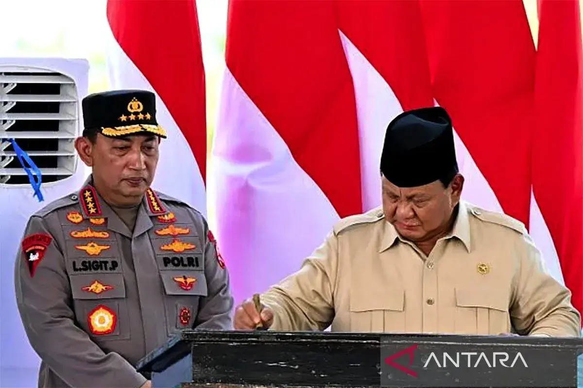 second-quarter-corn-harvest-to-achieve-up-to-254-tons-inp-chief-says