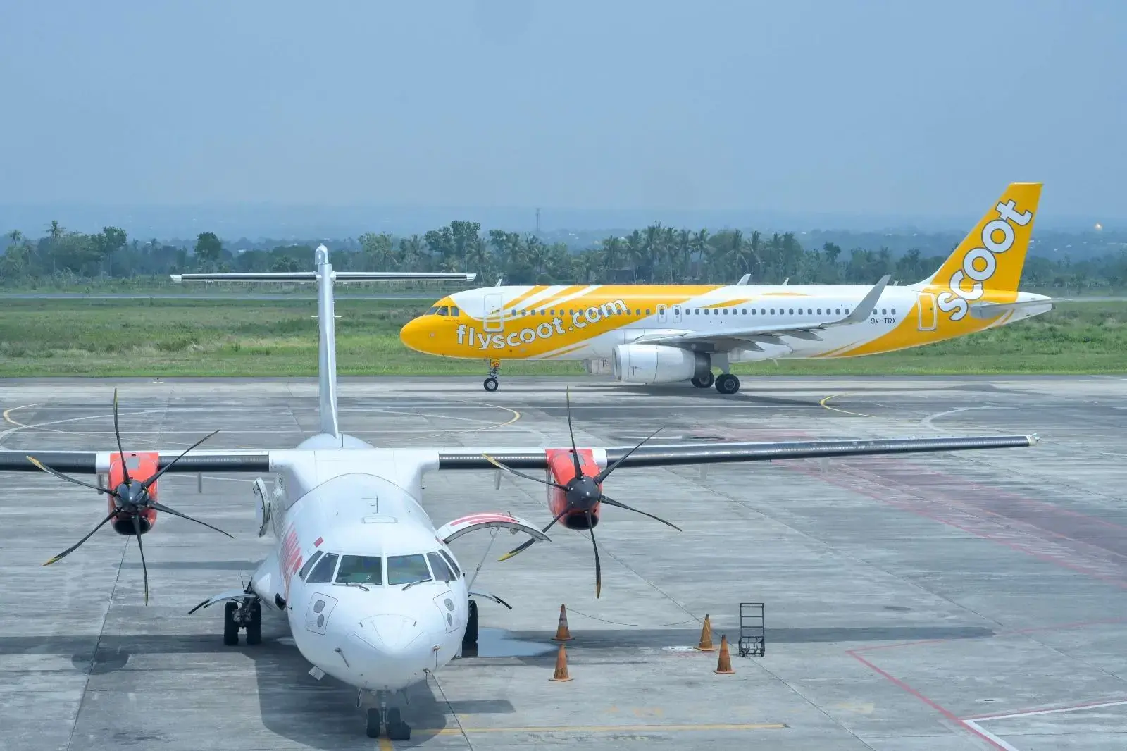 airfare-prices-reduction-under-review-by-government-task-force