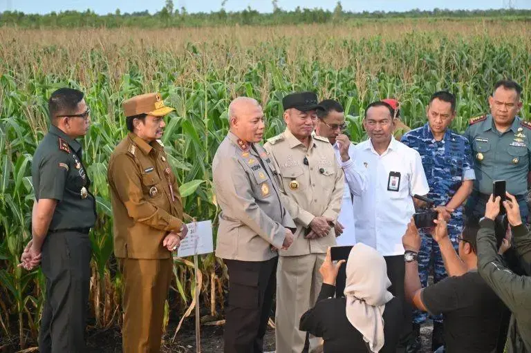 south-kalimantan-authorities-review-corn-field-in-banjar