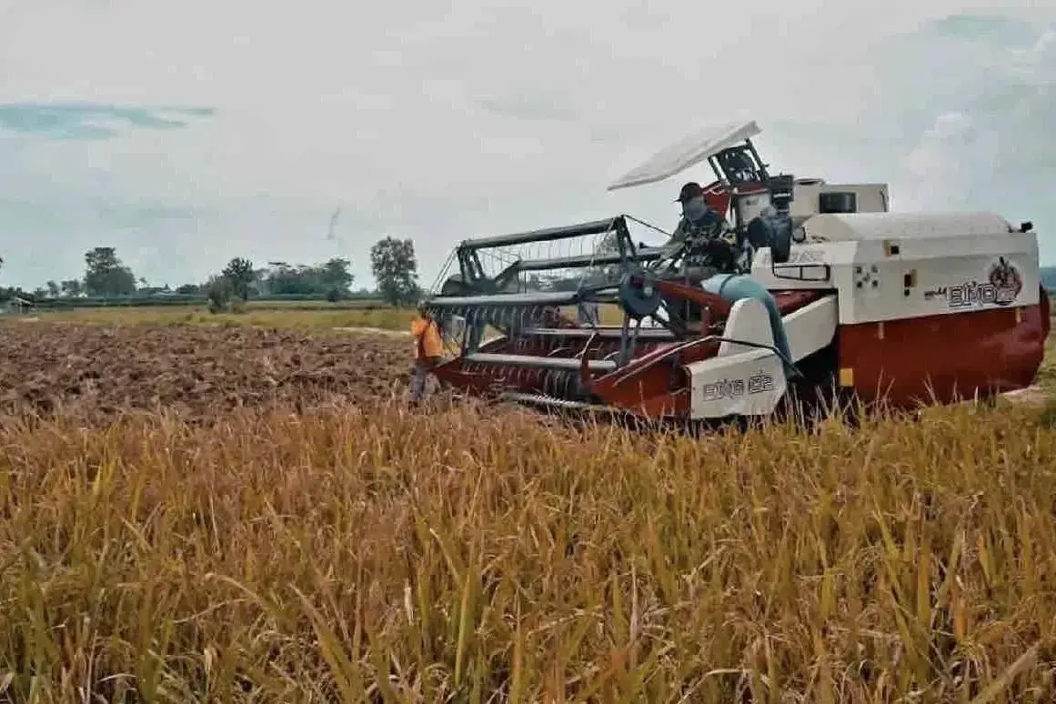 agriculture-ministry-and-densus-88-collaborate-to-boost-food-self-sufficiency