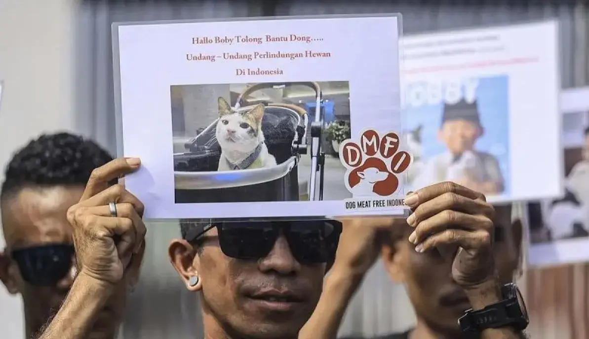 jakarta-enforces-ban-on-dog-and-cat-meat-sales