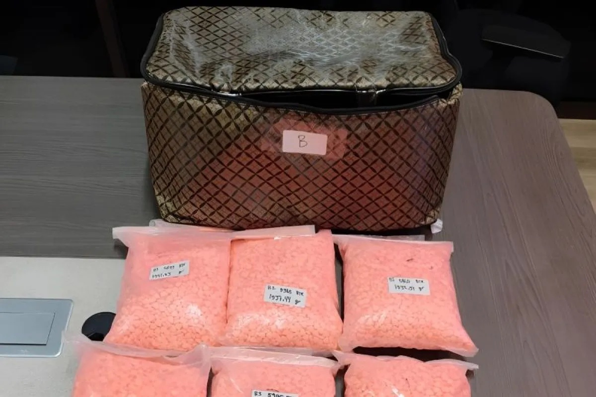 drug-courier-panics-after-highway-crash-dumps-200000-ecstasy-pills