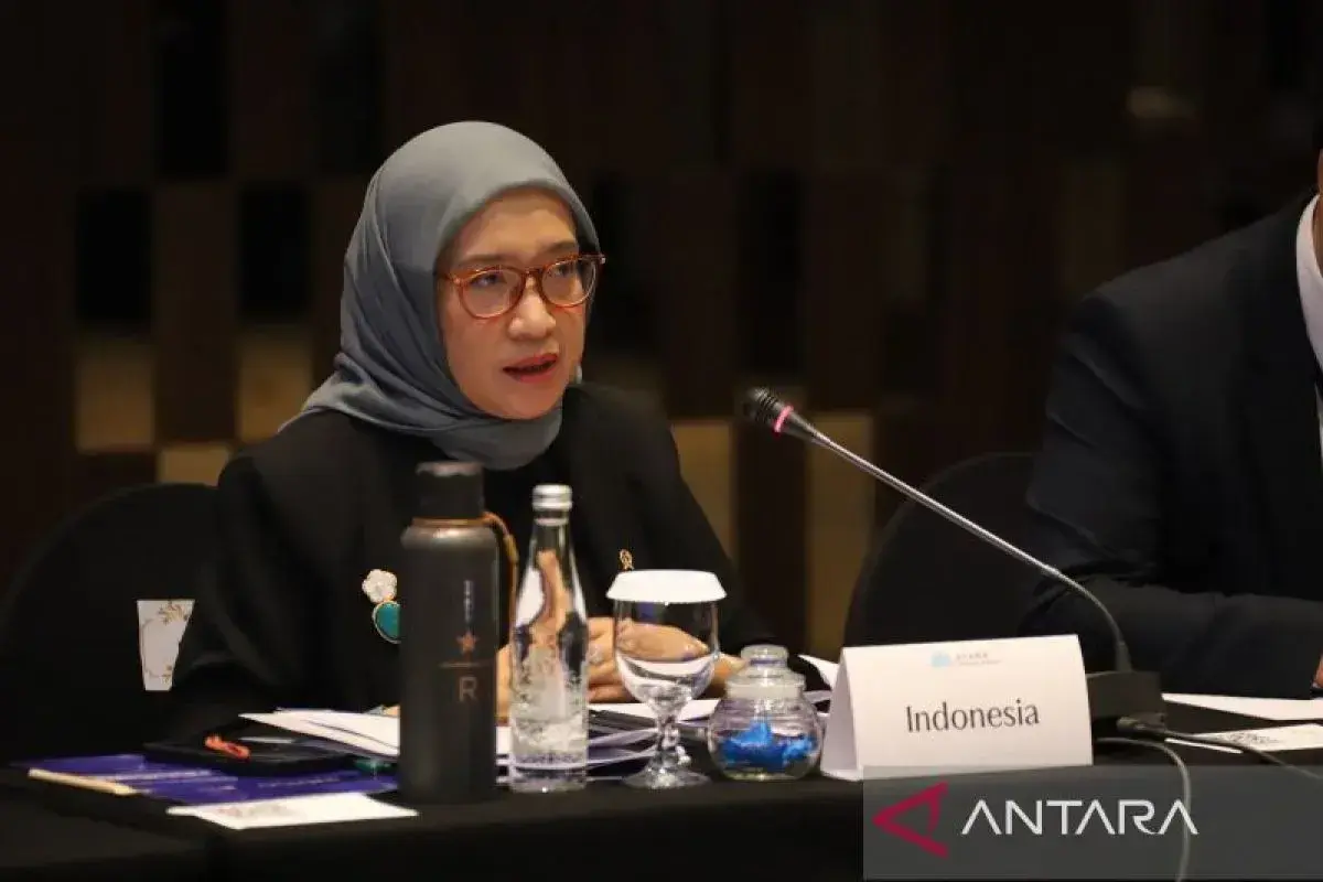 government-must-have-strong-ai-management-and-regulations-minister-rini-says