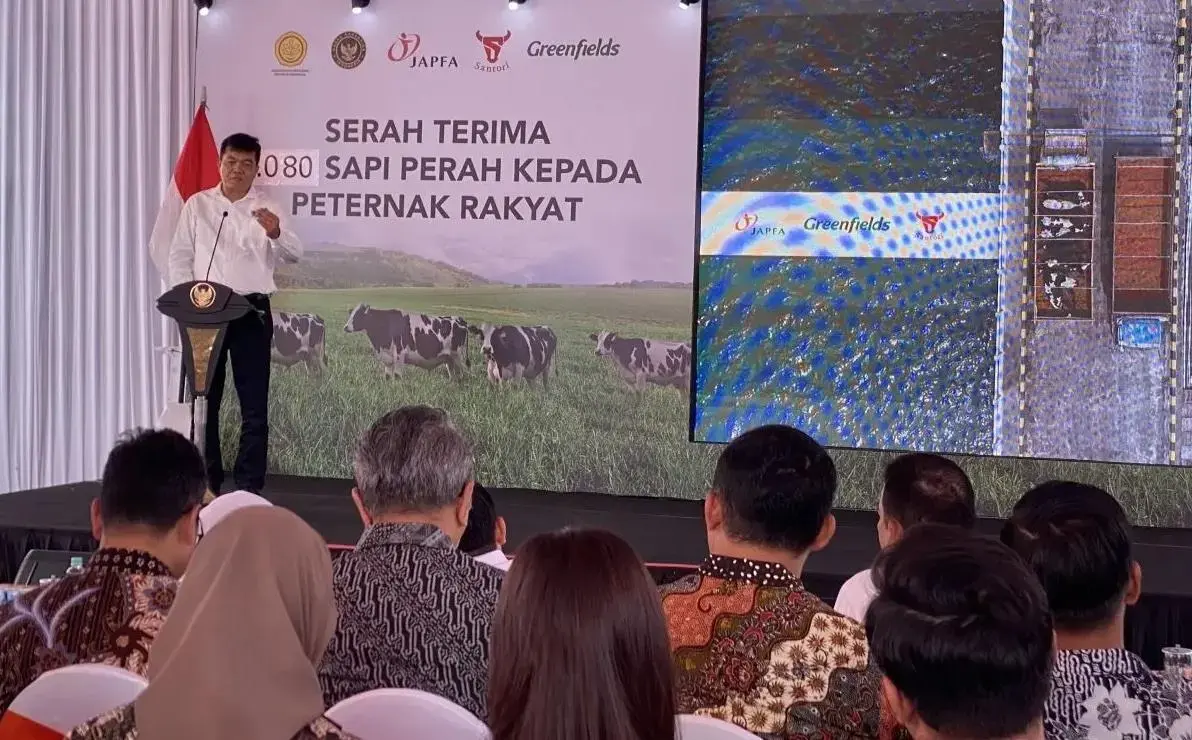 indonesia-confirms-australian-dairy-cows-are-healthy-and-safe