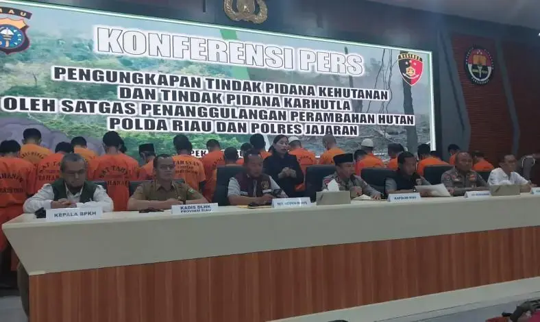 police-arrest-24-suspects-for-illegal-logging-and-forest-clearing