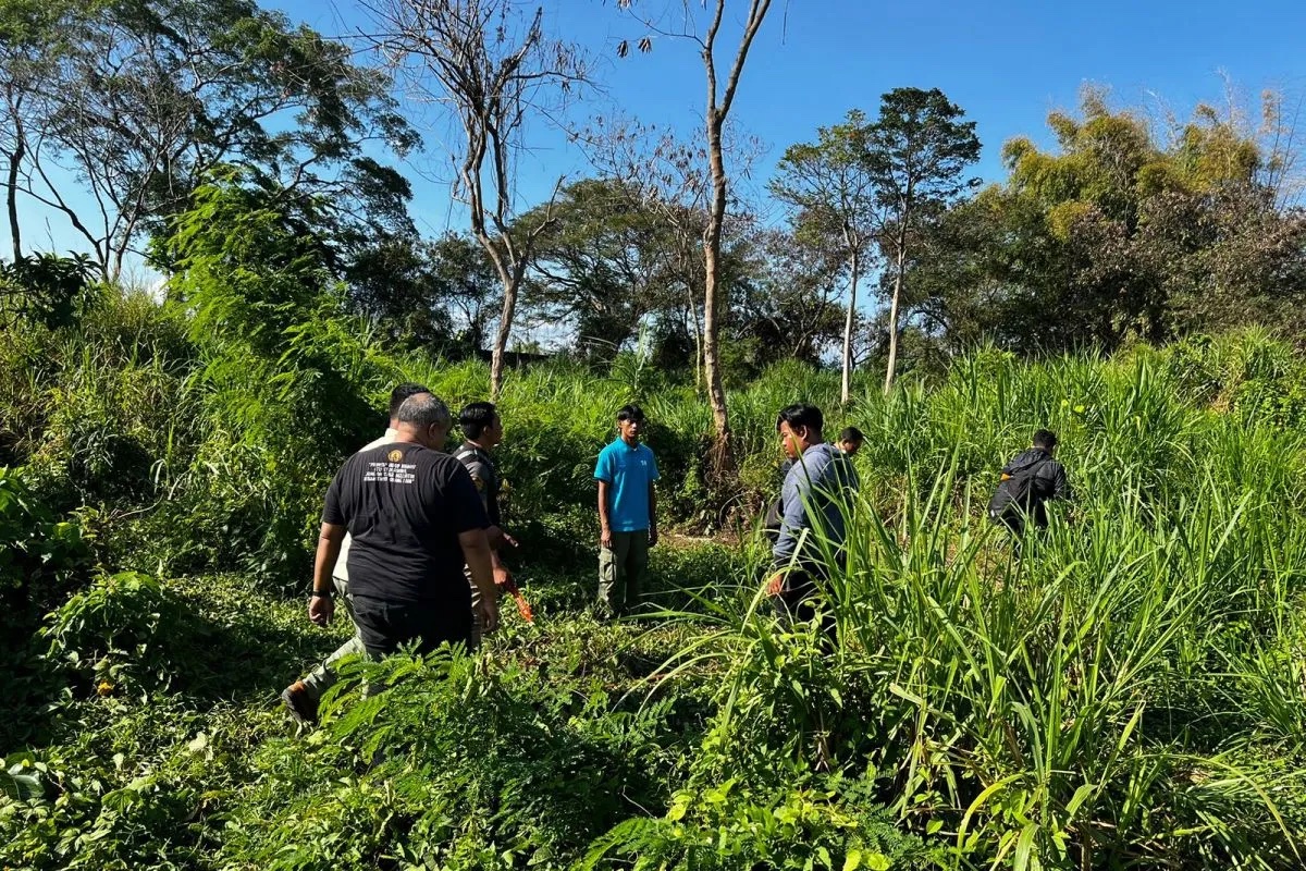 bali-safari-employee-dies-after-being-attacked-by-elephant