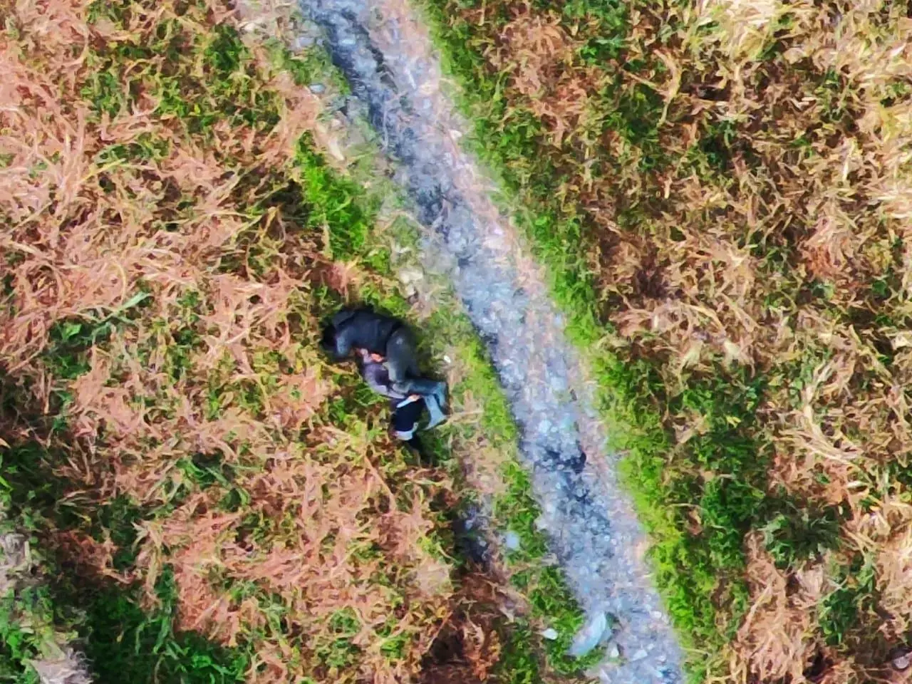 armed-criminal-group-murders-two-online-motorcycle-taxi-drivers-in-puncak-regency