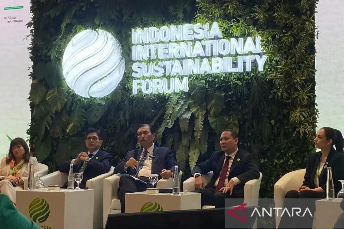 indonesia-will-has-its-own-renewable-energy-policy-luhut-says