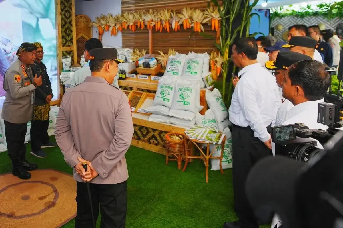 inp-distribute-over-93000-tons-of-sphp-rice-to-stabilize-food-prices