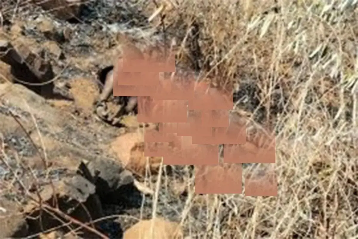 resident-found-dead-in-burned-land-in-central-lombok