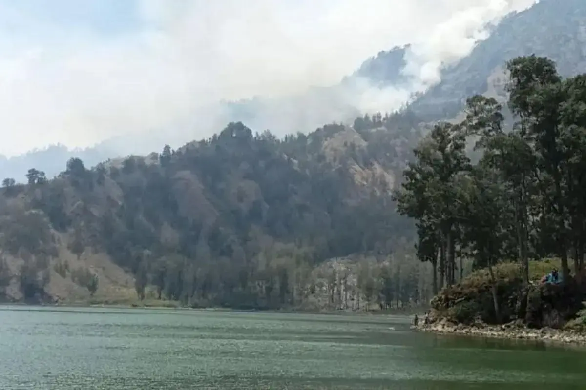 fire-on-senaru-hiking-trail-of-mount-rinjani-extinguished