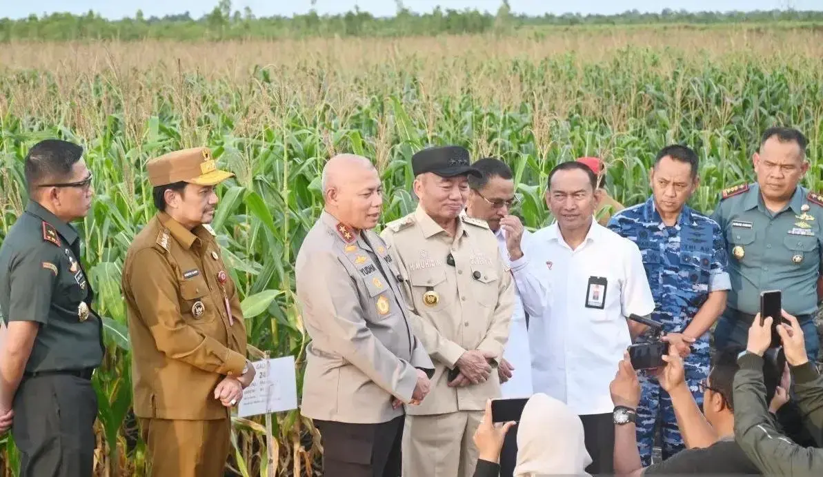 south-kalimantan-police-ready-to-harvest-30-hectares-of-corn-on-swamp-land