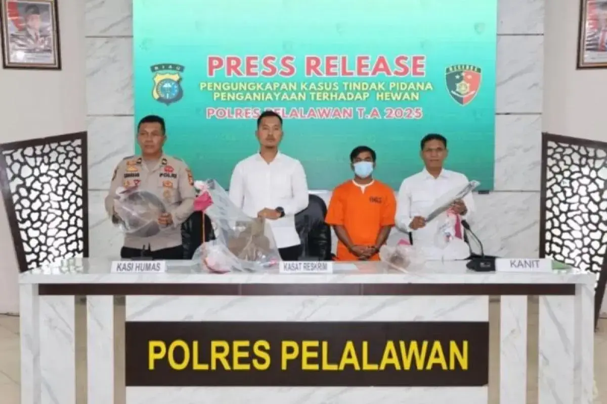 shocking-discovery-pelalawan-police-bust-dog-meat-trade-in-riau-suspect-arrested