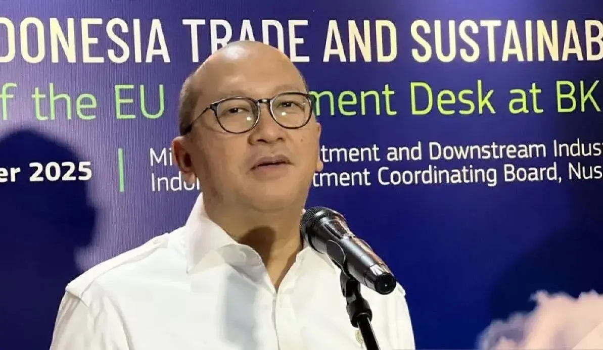 freeport-agrees-to-hand-over-12-stake-to-indonesia-for-free-danantara