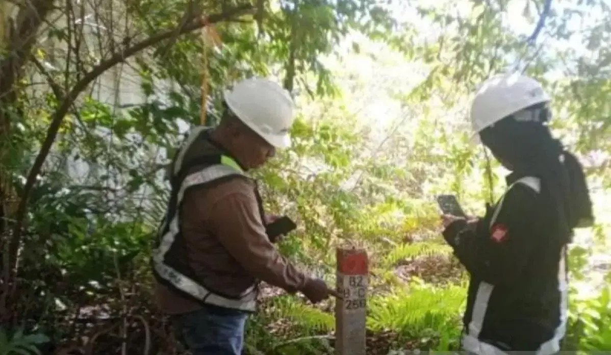 forestry-ministry-prepares-legal-action-over-mining-in-raja-ampat-forest-areas