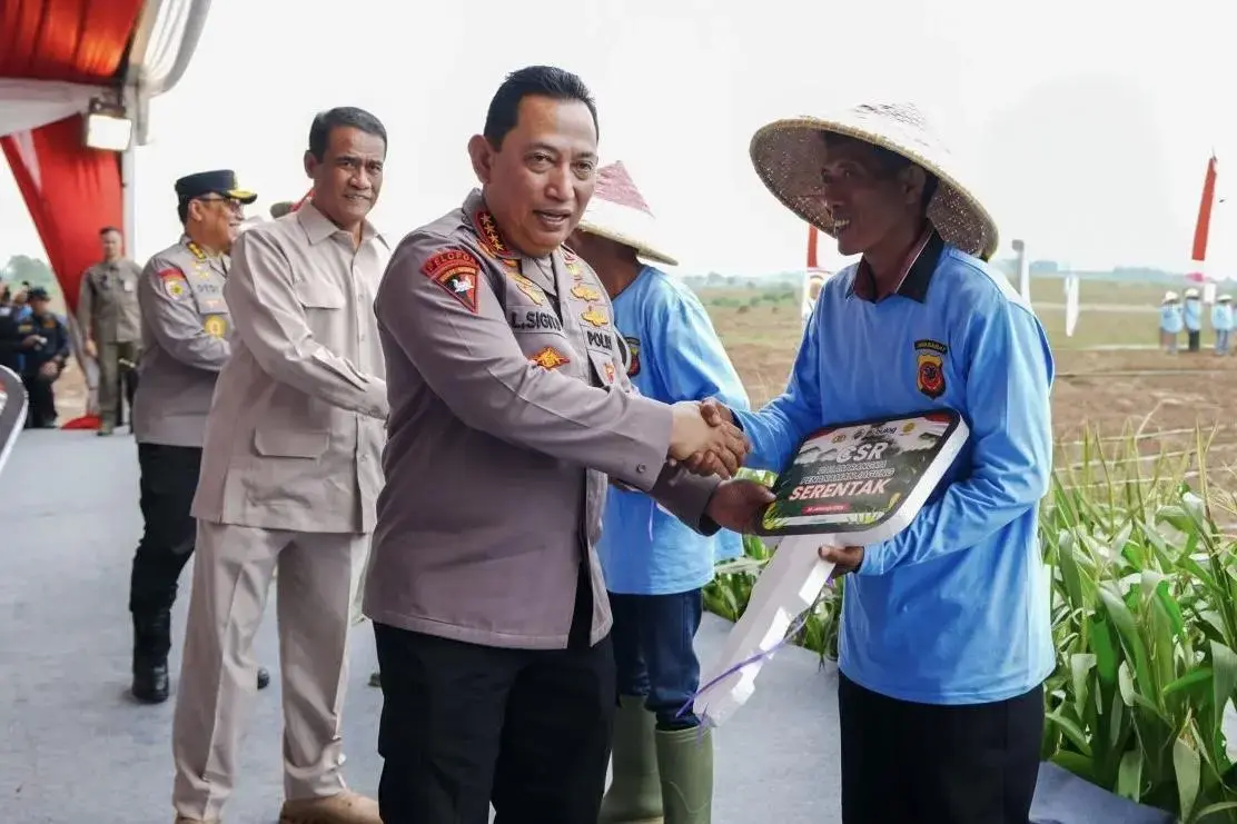 corn-planting-program-key-to-food-self-sufficiency-inp-chief