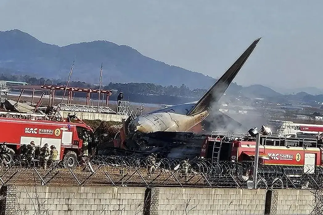no-indonesian-citizens-among-passengers-in-south-korea-plane-crash-foreign-ministry