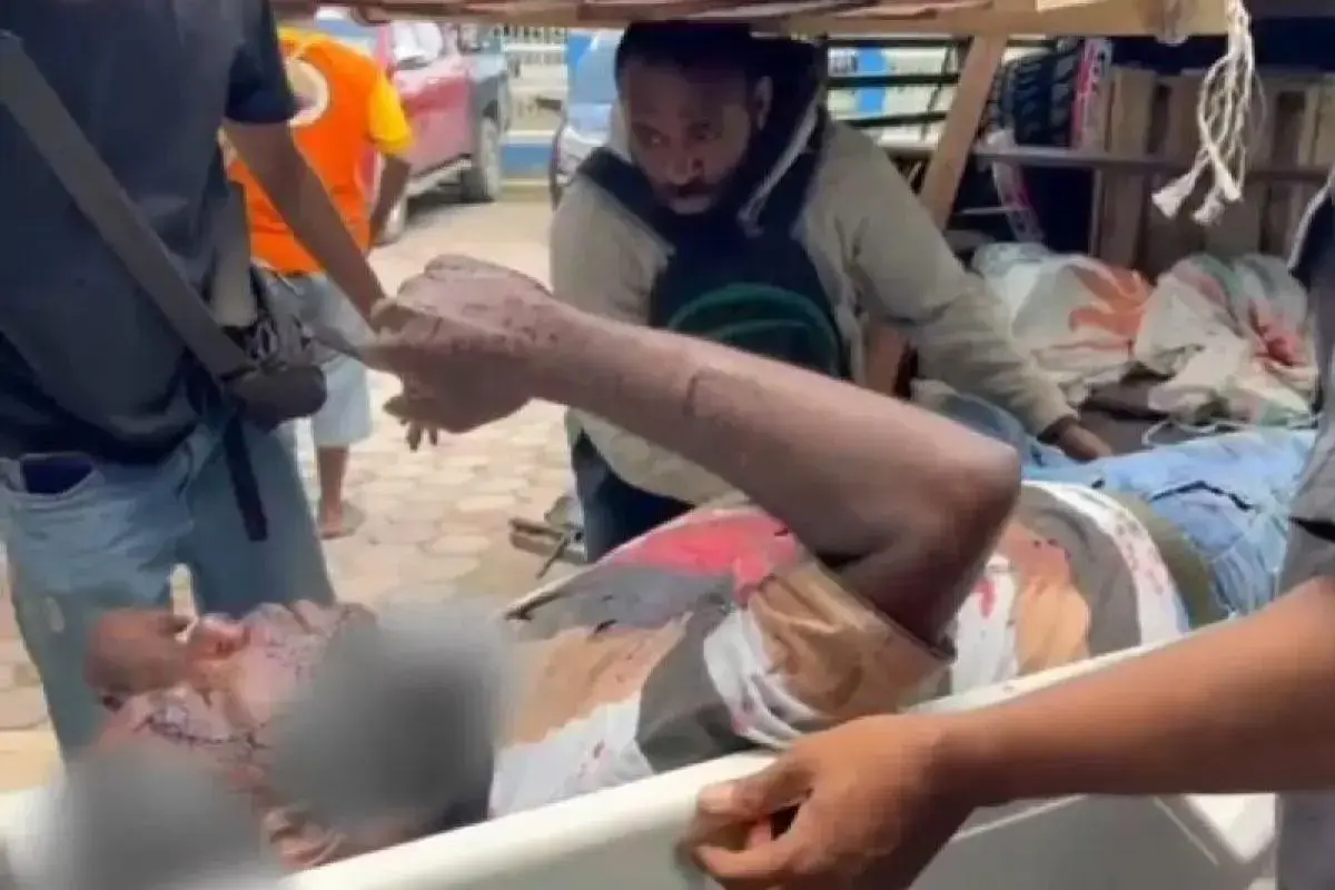 damai-cartenz-task-forces-hunt-aibon-kogoya-led-kkb-after-deadly-papua-attack