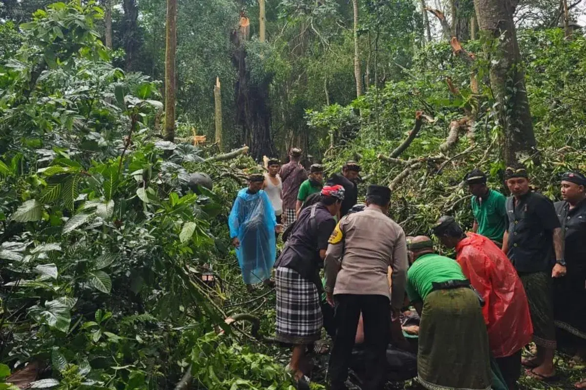 two-foreign-tourists-killed-by-falling-tree-in-ubuds-monkey-forest