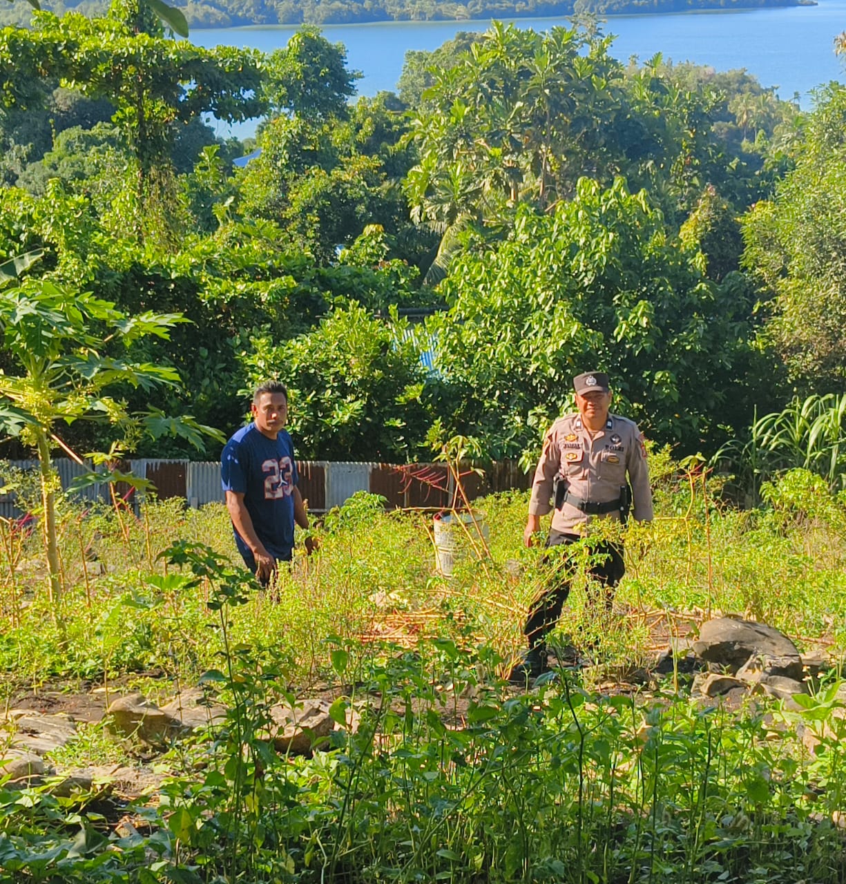 police-in-fakfak-supports-national-food-security-program-by-utilizing-empty-lands