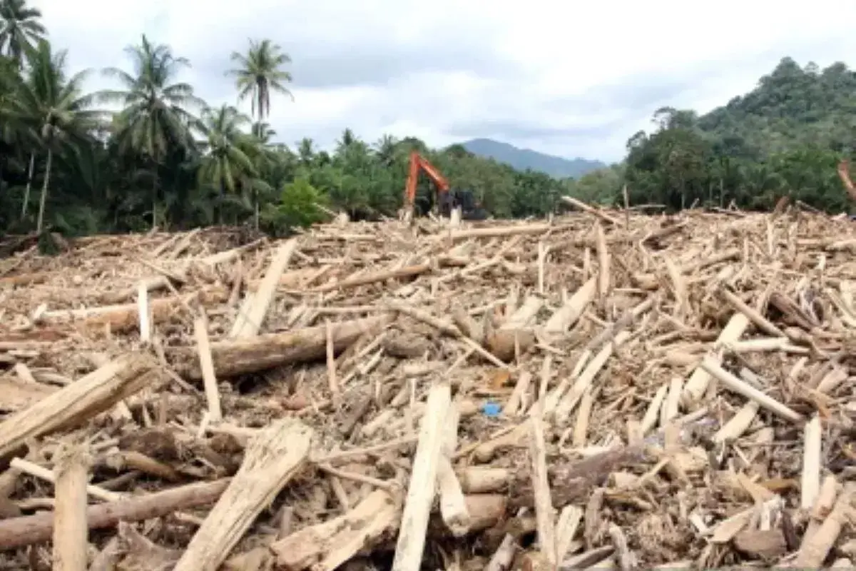 inp-upgrades-north-sumatra-flood-dragged-timber-and-log-case-to-full-investigation