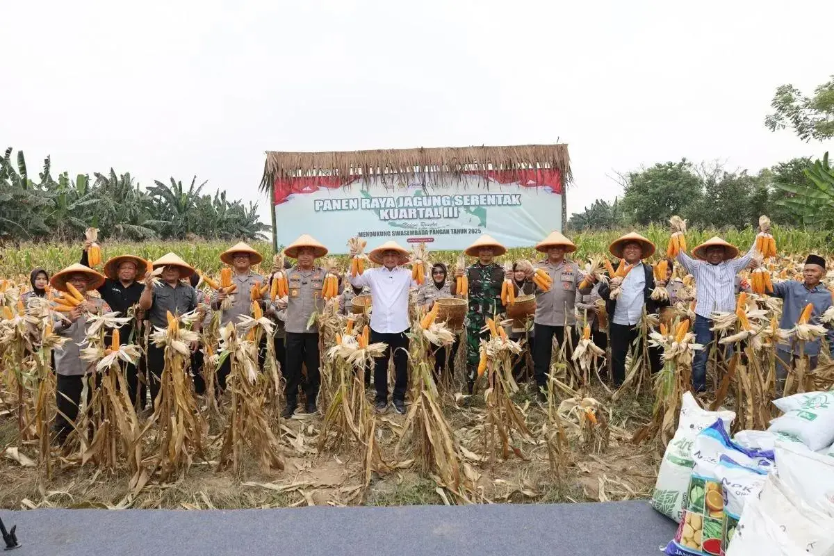 banten-police-harvest-1772-hectares-of-corn-to-boost-food-security