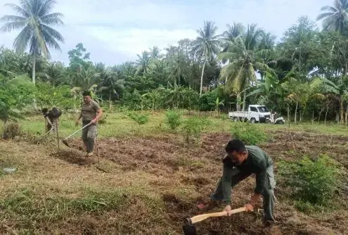 supporting-asta-cita-program-madago-raya-preventive-operation-prepares-land-for-chili-planting