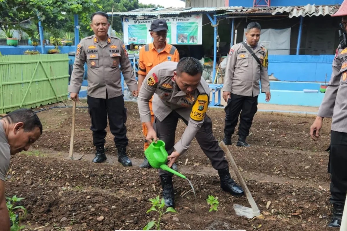 pademangan-police-cultivate-vacant-land-to-support-food-security-efforts