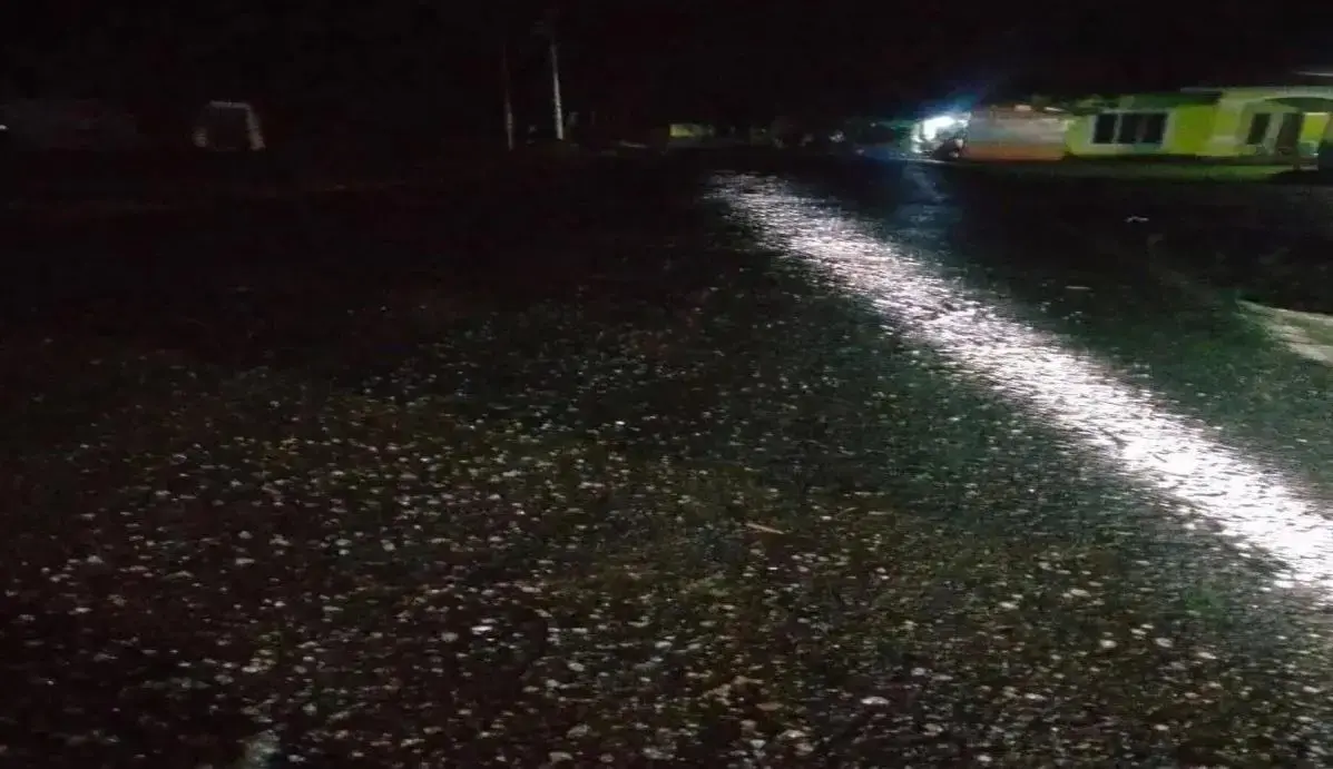 mysterious-jelly-rain-stuns-residents-of-north-gorontalo