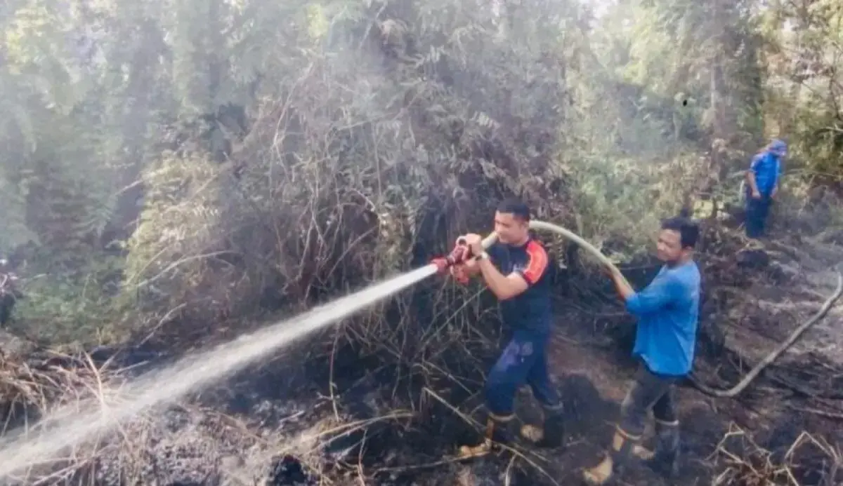 land-fires-still-pose-a-threat-in-west-aceh-public-advised-to-be-aware